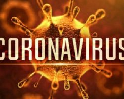 Vì sao virus corona chỉ “thích” tấn công phổi?