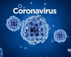 WHO trả lời 14 thắc mắc giúp bạn phòng lây nhiễm virus corona