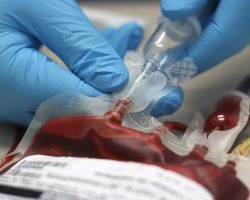 12 triệu người Việt Nam mang gien bệnh thalassemia
